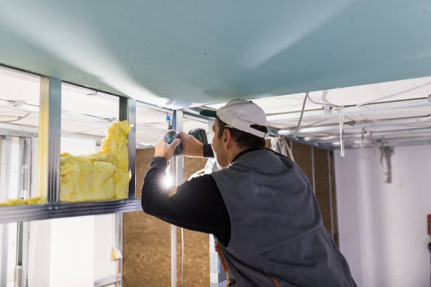 Best Geographic-Specific Insulation Services in Fort Wright, KY