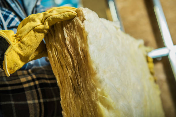 Best Eco-Friendly Insulation in Fort Wright, KY